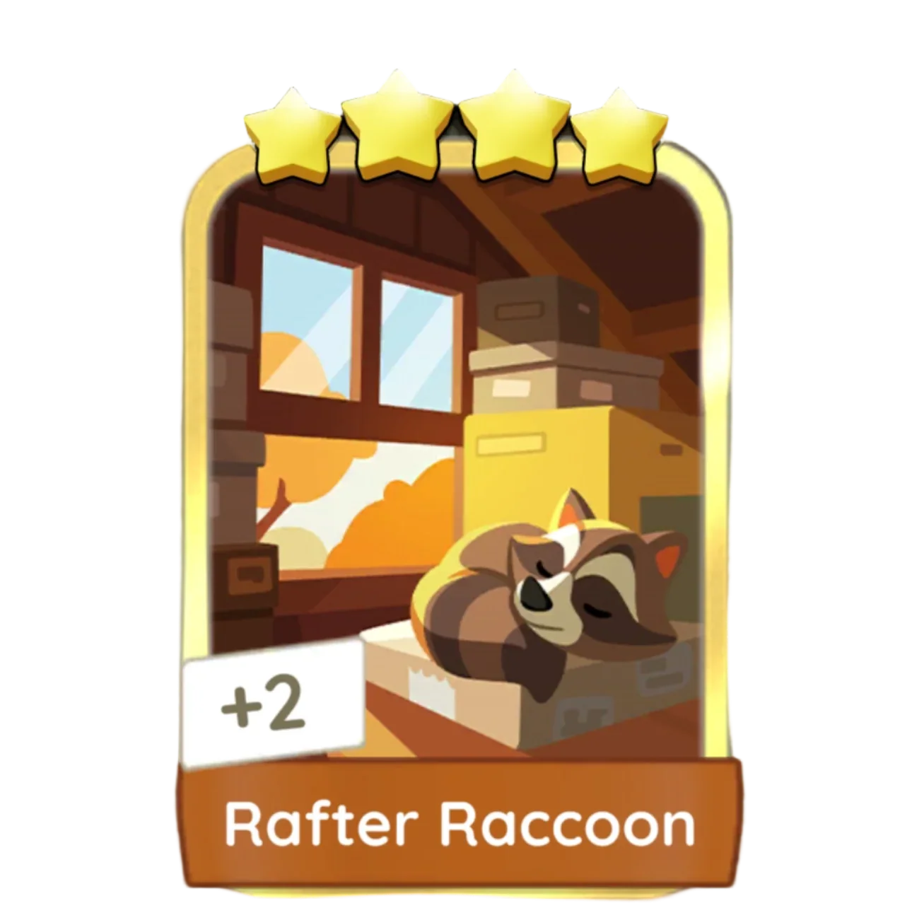 Rafter Raccoon